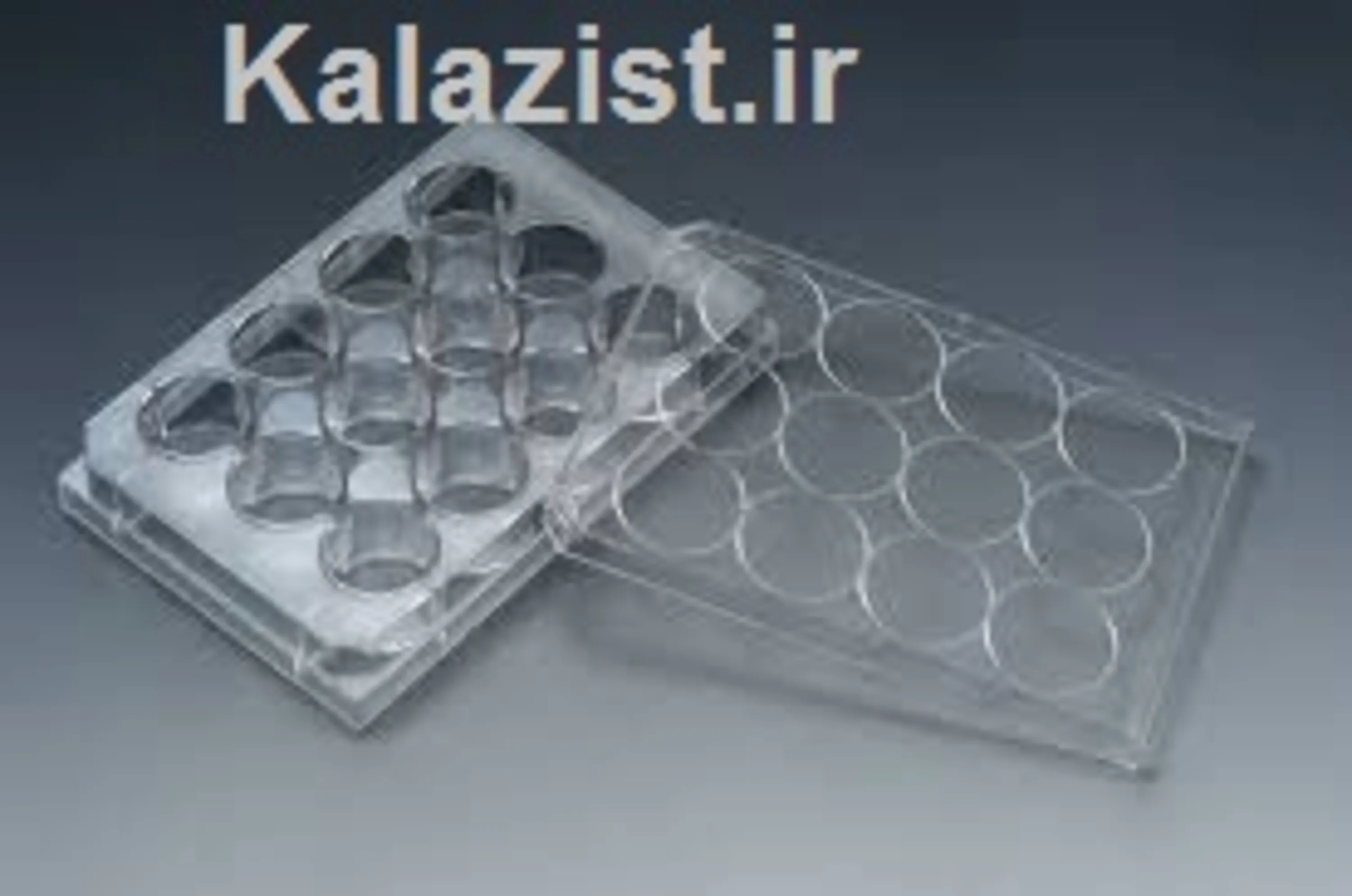 پلیت کشت سلول12  خانه SPL کالا زیست kalazist